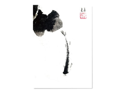 postkarte postcard fish Fisch