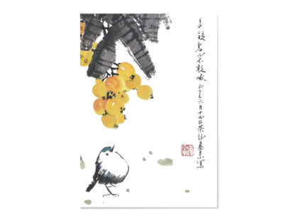 Postkarte Vogel bird postcard