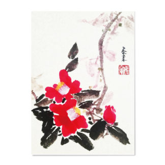 postkarte postcard camellia Kamelie