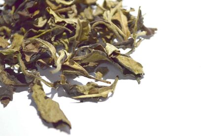 BIO baimudan weisser tee pai mu dan weißer Tee white tea peony 白牡丹 白茶