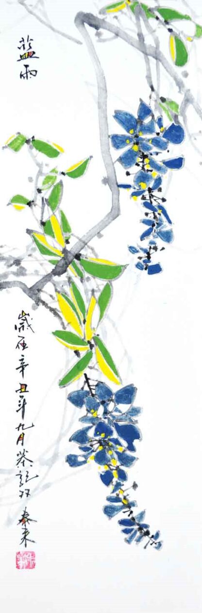 紫藤 blue rain, Blau wisteria Wisteria regen,glyzinien