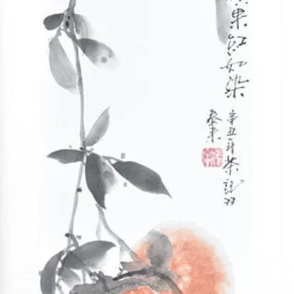 kaki zeichneng Pomegranate painting tusche malerei sumi-e painting tusche Zeichnen tinte zeichnung wand dekoration wandkunst Büro dekoration wohn decoration blumen zeichnen landscape painting landschaft malerei tier zeichnen